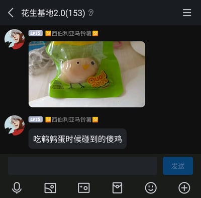 这是一张名为“花生基地2.0”的聊天群截图，群内LV15成员“西伯利亚马铃薯”（头像为一名张嘴大笑的动漫白发人物）分享了一张鹌鹑蛋零食的实拍图：该零食为绿色包装袋，上面印有小鸡的卡通形象，袋内的鹌鹑蛋恰好位于卡通小鸡的脸部位置，两者重合后看起来像是小鸡的脸，视觉效果十分滑稽。随后该成员发布文字“吃鹌鹑蛋时候碰到的傻鸡”，以调侃的语气吐槽这个有趣的巧合，为群聊增添了趣味。