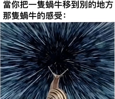这张梗图上方有文字'當你把一隻蝸牛移到別的地方 那隻蝸牛的感受：'，下方是一张蜗牛面对高速移动视觉效果的图片。图片采用了放射状的速度线和深色背景，营造出强烈的速度感和眩晕感，幽默地表现了行动缓慢的蜗牛突然被移动到新地方时可能产生的强烈不适感和迷失方向的感觉。