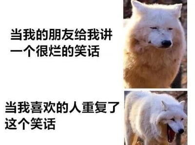 图片分为上下两部分，通过对比展示对同一烂笑话的不同反应。上半部分左侧文字为“当我的朋友给我讲一个很烂的笑话”，右侧是一只表情冷漠、眼神涣散的狼，显得毫无兴趣；下半部分左侧文字为“当我喜欢的人重复了这个笑话”，右侧是同一只狼张嘴开怀大笑的样子，形成强烈反差，幽默地表现了面对不同对象时的心理差异。