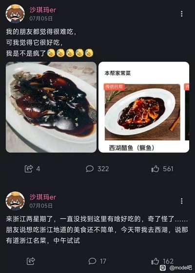 社交媒体用户“沙琪玛er”于07月05日发布的两条动态截图。第一条动态包含一张西湖醋鱼实拍图（深色酱汁覆盖鱼身），配文“我的朋友都觉得很难吃，可我觉得它很好吃，我是不是疯了🤔🤔🤔🤔🤔”，下方显示4转发、322评论、561点赞。第二条动态延续话题，提到“来浙江两星期了，一直没找到这里有啥好吃的，奇了怪了……朋友说想吃浙江地道的美食还不简单，今天带我去西湖，说那有道浙江名菜，中午试试”，并附带一张标注“本帮家常菜 传统杭帮 西湖醋鱼（鳜鱼）”的菜品图，该条动态有17评论、162点赞。