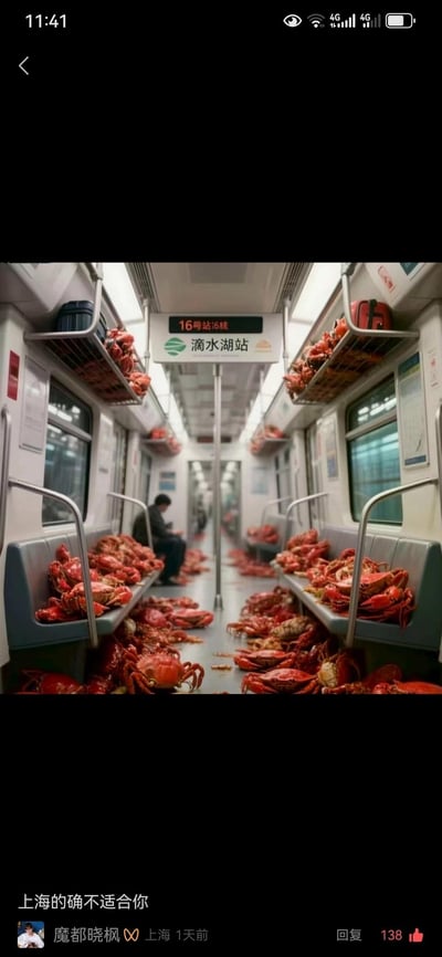 这是一张AI生成的创意趣味图，还原了上海地铁16号线滴水湖站的车厢场景：整个车厢的座椅、行李架、地板上都被蒸熟的红色大闸蟹堆满，只有一名乘客独自坐在车厢角落看手机，画面荒诞又充满趣味。下方是社交媒体评论区，用户「魔都晓枫」配文「上海的确不适合你」，玩起了上海大闸蟹的地域梗，调侃感拉满。