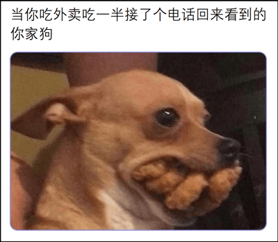 这张梗图展示了一只棕色的小狗，它的嘴里塞满了疑似炸鸡块的食物，表情看起来既惊讶又心虚。图片上方配有文字：'当你吃外卖吃一半接了个电话回来看你的你家狗'，幽默地描绘了宠物趁主人不注意偷吃食物的经典场景。狗狗圆睁着眼睛，嘴巴被食物撑得鼓鼓的，生动形象地表现出被当场抓包的尴尬模样，让人忍俊不禁。