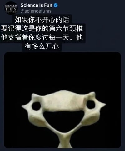 这是一张来自Twitter账号@sciencefunn（Science Is Fun）的科普幽默梗图。图片上方为黑色背景白色文字：“如果你不开心的话 要记得这是你的第六节颈椎 他支撑着你度过每一天。他有多么开心”，下方是一张第六节颈椎的骨骼图像，其天然结构形成类似微笑的表情。通过将骨骼拟人化，用“开心”的比喻传递积极情绪，同时融入解剖学知识，风格轻松治愈，适合在社交媒体传播以调节心情。