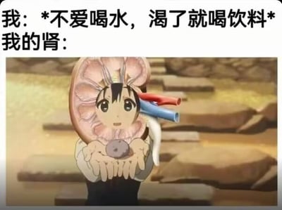这是一张图文混排的搞笑梗图，上方文字为“我：*不爱喝水，渴了就喝饮料* 我的肾：”，下方是将动画《工作细胞》中的红细胞形象P图改编，把角色的身体替换成肾脏的剖面结构，角色双手捧着一块类似受损组织的物体，用拟人化的方式调侃长期用饮料代替喝水的习惯会给肾脏带来负担，以幽默的方式提醒人们这种不良生活习惯对肾脏的影响，没有双关或谐音梗。
