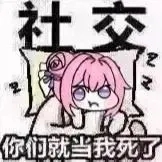 Doro社交摆烂表情包