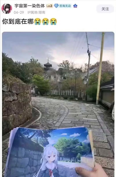 这是一张国内ACG社区的帖子截图，楼主IP属地为湖南，发布于4月29日，配文“你到底在哪”并附带三个大哭表情。图中楼主在日本京都的今熊野观音寺附近的坡道（动漫《ATRI -My Dear Moments-》的取景地）手持该动漫的场景截图，现实场景与动漫场景高度重合，但动漫里的银发少女亚托莉并未出现在现实中，楼主以此表达自己圣地巡礼时没能“见到”角色的失落与崩溃情绪。
无谐音梗、双关或暗示内容。