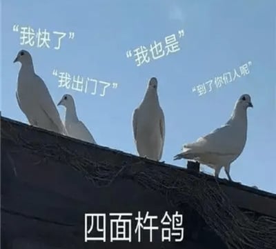 本图是一张搞笑梗图，画面中有四只白鸽站在屋檐上，每只鸽子头顶都带有一句常见的“鸽人”托词，例如“我快了”“我也是”“我出门了”“到了你们人呢”。下方大标题“四面杠鸽”巧妙用词，既指四面八方的鸽子，也谐音“思念杠哥”（对“鸽”字的网络用法幽默发挥），形象展现现代人社交和群聊中常见的托词、敷衍行为，极具讽刺感和代入感。\n\n本图带有明显的谐音梗和社交暗示色彩，将“鸽”作为指代‘爽约’‘放鸽子’的网络热词。