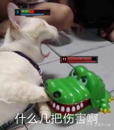 这是一张经过P图改编的搞笑梗图，画面主体是一只白色法国斗牛犬，它的爪子被绿色的咬手鳄鱼玩具咬住，狗狗大张着嘴巴，露出痛苦又惊讶的神情。图中添加了游戏风格的血条：狗狗的血条（标有数字7）仅剩余小部分，而鳄鱼玩具的血条（标有数字11）几乎全满。图片下方配有文字“什么几把伤害啊”，将现实中狗狗被玩具咬的场景类比成游戏对战，用游戏里的血条设定来吐槽“对手”（鳄鱼玩具）的伤害过高，狗狗的血量掉得太快，营造出滑稽搞笑的效果，可用来调侃游戏里遇到伤害超出预期的对手，或是现实中遇到意外的“打击”。