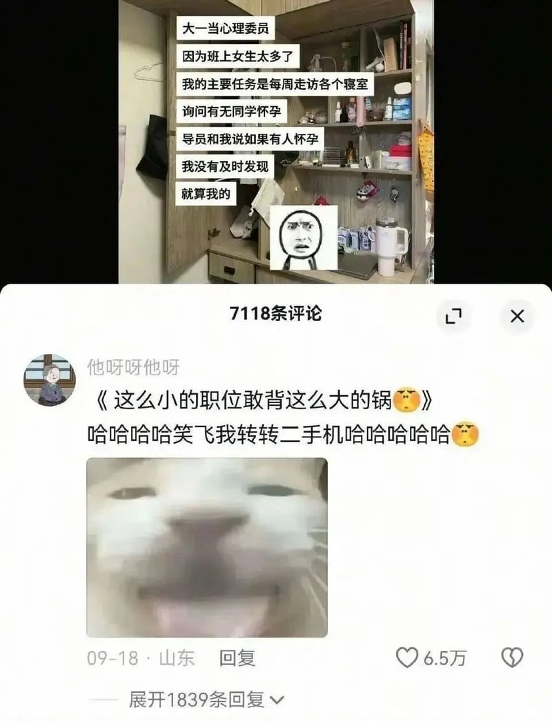 震惊猫咪