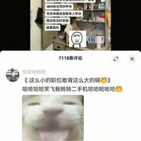 震惊猫咪