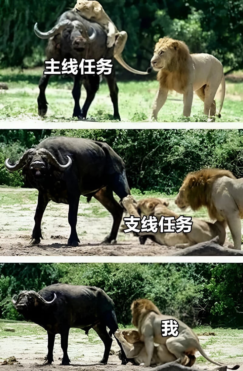 水牛