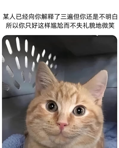 图片上方有文字说明：'某人已经向你解释了三遍但你还是不明白所以你只好这样尴尬而不失礼貌地微笑'。图片主体是一只橘色虎斑猫，它睁着大大的眼睛，表情看起来既尴尬又努力保持礼貌的微笑。猫被放置在一个带有通风孔的宠物航空箱内，背景为深色。这张图通过猫咪的表情完美诠释了人们在听不懂他人解释时的尴尬处境，用可爱的动物形象减轻了尴尬感，增加了幽默感。