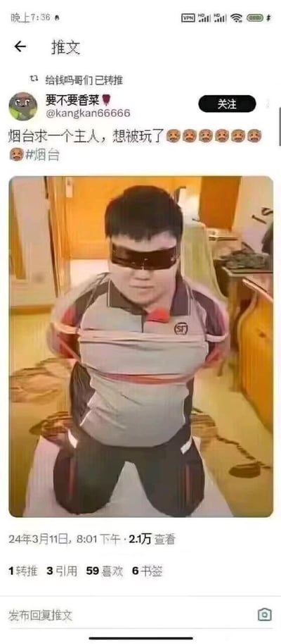 这是一张X平台（原推特）的社交媒体截图，截图显示用户「要不要香菜」（账号@kangkan66666）发布了一条猎奇推文：配文为「烟台求一个主人，想被玩了😫😫😫😫😫😫」并带上#烟台标签，同时附带一张男子被捆绑的照片。照片中的男子双眼被黑色眼罩遮挡，身穿带有顺丰标志的上衣，跪在室内地面上，双手被绑在身后，身体被红白色绑带束缚。推文发布于2024年3月11日8:01下午，已有2.1万查看量，还获得了1次转推、3次引用、59次喜欢和6个书签，截图上方还显示有其他用户的转推内容「给钱吗哥们已转推」。