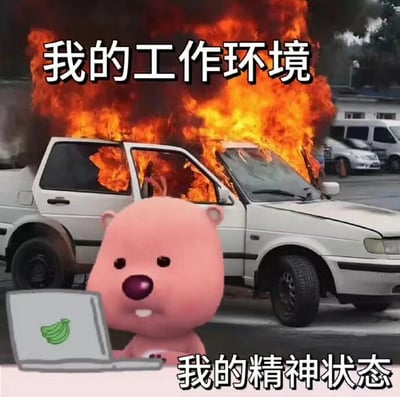 这是一张用于自嘲职场压力的P图改编梗图，画面采用上下对比的图文混排形式：上方是一辆正在熊熊燃烧的白色轿车，配文“我的工作环境”，用失控起火的车辆夸张地比喻工作环境的混乱、压力巨大，如同“火烧眉毛”般让人焦头烂额；下方是韩国动画IP里的Loopy小海狸，它坐在带有香蕉图案的笔记本电脑前，脸上带着强装镇定的微笑，配文“我的精神状态”，用这种表面平静、实则内心濒临崩溃的反差感，精准刻画了当代职场人在高压工作环境下，不得不硬撑着完成工作的真实精神状态，通过夸张的视觉对比，生动宣泄了职场人面对工作压力的无奈与疲惫。
