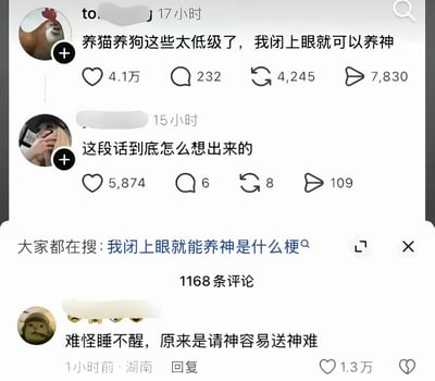 这是一张X平台的评论区截图，最上方使用鸡头熊身搞笑表情包作为头像的网友发布言论称“养猫养狗这些太低级了，我闭上眼就可以养神”，该言论获得4.1万点赞；有其他网友好奇回复询问这段话是怎么想出来的，下方还有网友接力玩梗，回复“难怪睡不醒，原来是请神容易送神难”，该条回复获得1.3万点赞，页面还显示有相关搜索词条“我闭上眼就能养神是什么梗”，整体是网友利用“养神”的字面意思和引申义玩谐音梗的搞笑互动内容。