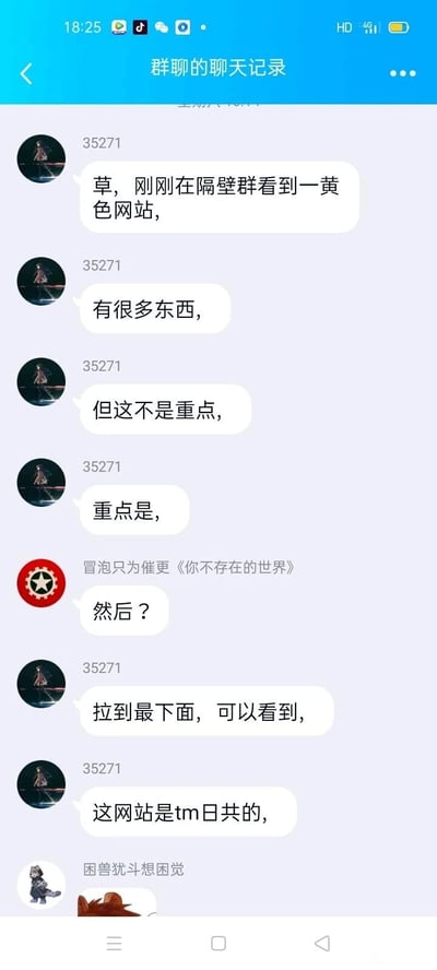 这是一张竖屏格式的手机群聊聊天记录静态截图，记录了群内三位用户的对话。用户“35271”率先发言，称在隔壁群看到一个黄色网站，先以“有很多东西”“但这不是重点”“重点是”这类话术吊足群友胃口；备注为“冒泡只为催更《你不存在的世界》”的群友询问“然后？”后，“35271”揭晓重点：将该网站拉到最下面，可以看到这个网站是日共的；最后一位用户“困兽犹斗想困觉”仅发送了一张未显示完整的图片，没有文字内容。整个对话通过铺垫制造悬念，最后给出意外的反转内容，带有恶搞和调侃的趣味效果。