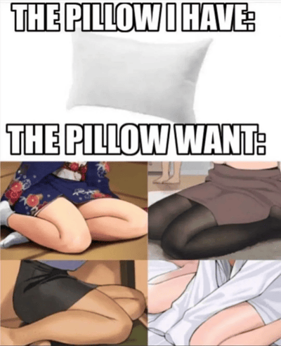 这是一张趣味对比梗图，采用上下分栏的结构：上半部分标注文字“THE PILLOW I HAVE:”，展示一个常见的纯白色方形普通枕头；下半部分标注文字“THE PILLOW WANT:”（存在拼写错误，应为“THE PILLOW I WANT:”），拼接了四张日本动漫的截图，这些截图里的人物腿部、身体区域因视觉错位，看起来形似枕头的形状。该梗图通过现实物品与二次元视觉错位画面的对比，趣味化地表达了二次元爱好者对这类具有创意视觉效果的“另类枕头”的调侃式向往，利用视觉错位制造出搞笑反差感。
