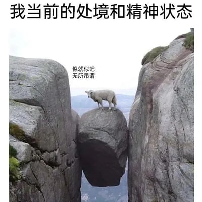 图片展示了一只羊站在两块巨大岩石之间的悬空巨石上，象征着不稳定的处境。上方文字写着'我当前的处境和精神状态'，旁边配有文字'似就似吧 无所吊谓'，表达了一种随遇而安、不在乎的态度。