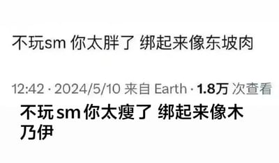 这是一张社交媒体截图形式的幽默梗图，通过对比调侃不同身材特点。图片包含两组文字：上方文字为“不玩sm 你太胖了 绑起来像东坡肉”，下方文字为“不玩 sm 你太瘦了 绑起来像木乃伊”。中间显示有发布时间“12:42 · 2024/5/10”、来源“来自 Earth”以及查看次数“1.8万 次查看”。图片采用夸张比喻的方式制造笑点，将胖身材比作东坡肉，瘦身材比作木乃伊，形成有趣的对比效果。