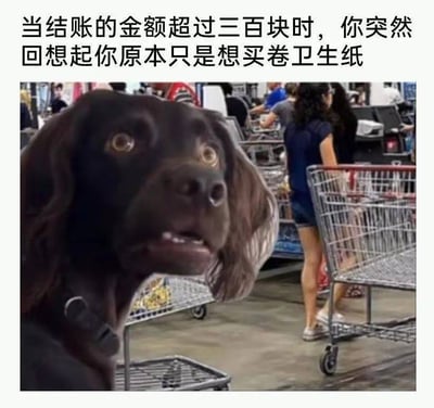 这张梗图场景是在超市结账队伍前，一只狗狗露出震惊、难以置信的表情，对应上方文字：“当结账的金额超过三百块时，你突然回想起你原本只是想买卷卫生纸”。图片用狗狗的脸来形象夸张地表现日常消费时的意外和“剁手”场景，非常有代入感和幽默感，属于购物吐槽类梗图。

**没有发现明显双关、谐音梗、暗示内容**。