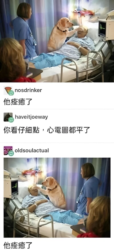 图片分为上下两部分，均为医院病房场景：病床上躺着一位穿着病号服的男性患者，一只金毛犬将爪子放在患者额头，旁边有护士和另一位女性旁观者，心电监护仪显示直线。两部分之间穿插三条评论：nosdrinker称‘他痊愈了’，haveitjoeway反驳‘你看仔细点，心电图都平了’，oldsoulactual再次重复‘他痊愈了’。通过‘痊愈’一词制造黑色幽默——表面说患者康复，实际因心电图平线暗示患者已死亡，形成讽刺笑点。