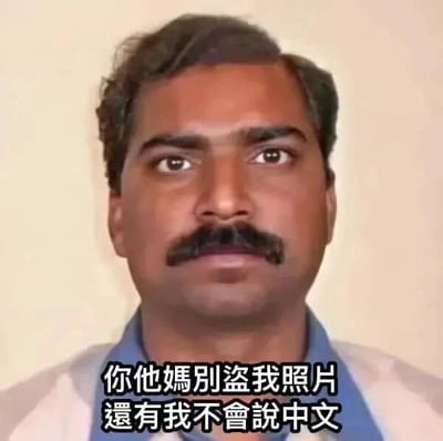 这是一张经过P图改编的文字加注静态单图，图中主体是一位有着浓密深色胡须、表情严肃的印度男性真人，他眼神直视前方，神态看起来略带不悦。图片底部添加了简体中文文字：“你他媽別盜我照片 還有我不會說中文”，形成了强烈的反差笑点——用中文吐槽自己的照片被盗用，却又声称自己不会说中文，这种矛盾的表述制造出荒诞的幽默效果，常用于调侃网络上随意盗用他人照片的不良行为。