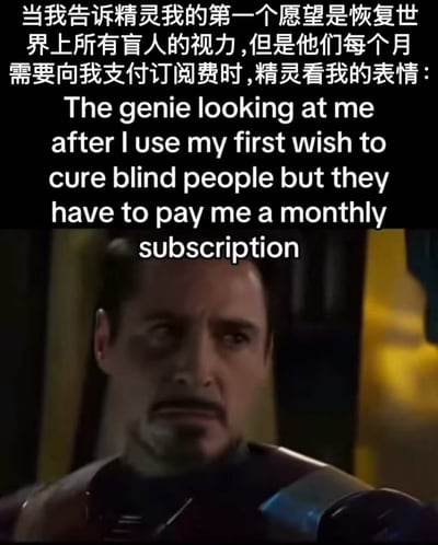 这是一张幽默讽刺类梗图,上方是中文文字:'当我告诉精灵我的第一个愿望是恢复世界上所有盲人的视力,但是他们每个月需要向我支付订阅费时,精灵看我的表情:',下方是英文翻译。图片主体是电影《钢铁侠》中托尼·斯塔克(小罗伯特·唐尼饰演)的特写镜头,他穿着钢铁侠战衣,表情困惑且略带震惊,完美契合了文字描述中精灵听到自私愿望时的反应。