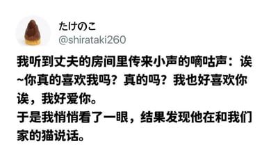 这是一张Twitter（现X平台）社交媒体截图，用户“たけのこ”（@shirataki260）发布了一则生活趣事短文。内容讲述叙述者听到丈夫在房间内小声嘀咕“你真的喜欢我吗？我也好喜欢你，我好爱你”等亲昵话语，误以为是对自己表达爱意，悄悄查看后却发现丈夫其实在和家中的猫对话，形成温馨又搞笑的误会场景。