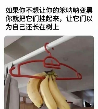 图片上方配有文字：'如果你不想让你的笨呐呐变黑你就把它们挂起来，让它们以为自己还长在树上'，下方是一张实拍图，展示一串黄色香蕉被挂在红色衣架上，衣架挂在白色杆子上。整体通过拟人化的幽默方式，调侃一种防止香蕉变黑的趣味方法，没有双关或谐音梗，纯为生活小技巧的搞笑演绎。
