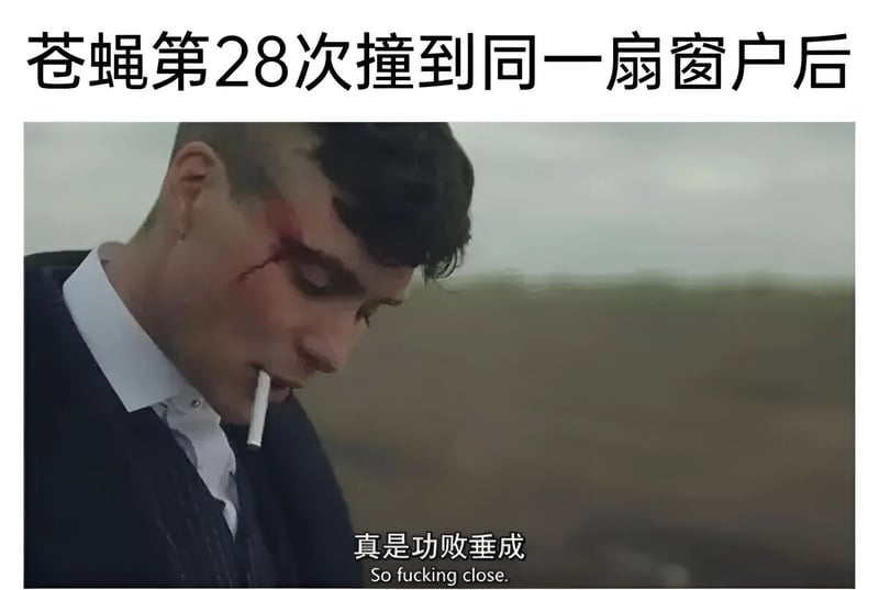 托马斯·谢尔比