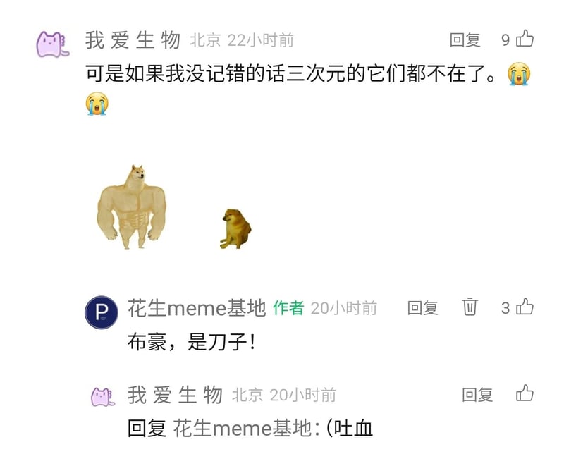 Cheems梗图改编