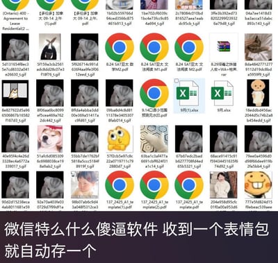 这张图片展示了一个电脑本地文件夹的界面，其中被大量微信自动保存的表情包图片占据，这些表情包文件名多为无意义的随机字符串，同时文件夹中还夹杂着PDF文档、Excel表格、谷歌Chrome浏览器快捷方式等各类文件，整体显得十分杂乱。图片底部配有醒目的吐槽文字：“微信特么什么傻逼软件 收到一个表情包就自动存一个”，直白地抒发了用户因微信自动保存表情包的功能，导致本地文件管理混乱的烦躁与不满情绪。