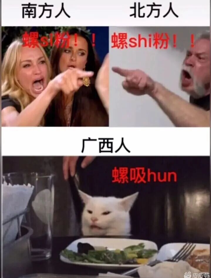 Woman Yelling at a Cat梗图