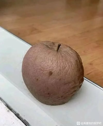 一张特写照片，展示了一个放置在白色台面上的苹果。这个苹果呈现出极其诡异的外观，表皮布满深深的皱纹，质感粗糙，颜色呈暗淡的棕褐色，并且表面似乎有细小的毛发状物质，整体看起来酷似人类皮肤，给人一种怪异和不安的感觉。苹果的顶部还保留着短小的果柄。背景是木质地板，光线柔和，使得苹果的奇特纹理更加突出。
