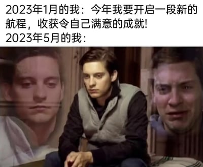 这是一张图文混排的对比类表情包，上方文字是2023年1月的自己立下的目标：“今年我要开启一段新的航程，收获令自己满意的成就!”，充满了雄心壮志；下方是2023年5月的自己，采用托比·马奎尔版《蜘蛛侠》的画面合成图，呈现出三种不同的情绪状态：左侧人物眼神恍惚、神情迷茫，中间人物低头坐着，双手交握，表情低落沮丧，右侧人物面部扭曲、崩溃大哭，生动地表现出年初立下的目标到年中大多落空，自己从满怀期待陷入到萎靡、挫败、失落的情绪中，精准戳中了很多人年初立flag，年中却无法完成，心态产生巨大落差的真实状态，引发强烈共鸣。