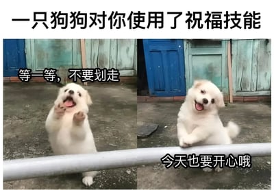 这是一张双图拼接的狗狗祝福梗图，上方配有标题"一只狗狗对你使用了祝福技能"。左侧图片中，一只白色小狗站立起来，前爪抬起，嘴巴张开，旁边配有文字"等一等，不要划走"。右侧图片中，同一只小狗将前爪搭在金属杆上，面带微笑，旁边配有文字"今天也要开心哦"。背景是带有蓝色和绿色门的老旧墙面，整体氛围温馨可爱，传达积极乐观的情绪。