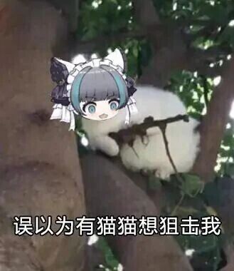 这是一张P图改编的静态文字加注图，画面主体是一只趴在树枝上的白色猫咪，猫咪的头部被替换成了一个有着蓝灰色头发、佩戴白色带黑色装饰蝴蝶结的动漫少女的脸，少女眼睛睁大，表情看起来既惊讶又懵懂。猫咪爪子抓着树枝的姿势，看起来像是手持狙击枪瞄准的样子，图片下方配有文字“误以为有猫猫想狙击我”，利用视觉错觉营造出搞笑的效果，让观看者产生猫咪要“狙击”自己的趣味联想，整体风格诙谐幽默。