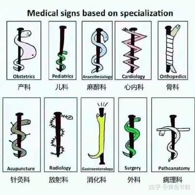 这是一张九宫格的趣味改编图，以医学标志性符号阿斯克勒庇俄斯之杖（单蛇绕杖）为原型，针对10个不同的医学科室的工作特点，对蛇和杖的形态进行了创意改编，用形象化的方式幽默调侃各科室的核心工作特征：
1. 产科：蛇的形态模仿孕妇隆起的腹部，对应产科负责孕产妇相关诊疗工作；
2. 儿科：蛇是小巧的幼蛇形态，对应儿科的服务对象为儿童；
3. 麻醉科：蛇呈现出缠绕的迷糊扭曲形态，对应麻醉的镇静催眠效果；
4. 心内科：蛇被改编为类似心电图的折线波形，对应心内科关注心脏的电活动与心律问题；
5. 骨科：杖身被缠上绷带，模拟骨折后的固定处理，对应骨科的骨骼损伤诊疗工作；
6. 针灸科：蛇的身体上扎满了针，对应针灸科以针灸为核心治疗方式；
7. 放射科：蛇的身体呈现出类似X光片里的骨骼纹路，对应放射科的影像诊断工作；
8. 消化科：杖的顶端被改编为弯曲的消化道形态，还带有排气的视觉效果，对应消化科处理肠胃消化与排泄相关病症；
9. 外科：蛇是粗壮有力的形态，对应外科手术操作的特点；
10. 病理科：蛇与杖身呈现出类似病理标本的固定形态，对应病理科处理病理标本、进行病理诊断的工作。
整图没有双关或谐音梗，完全通过形态类比来实现趣味化的职业特征概括，风格轻松诙谐。