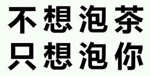 不想泡茶只想泡你
