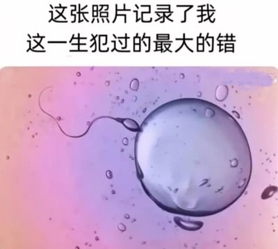 图片上方有黑色文字“这张照片记录了我这一生犯过的最大的错”，下方是一张科学风格的图像，展示了一个精子正在接近一个卵子，背景为粉紫色渐变，周围有一些小气泡。图片通过将生命起源的科学场景与幽默文字结合，形成一种自嘲式的梗，暗示“来到这个世界”本身就是“最大的错”，用夸张的比喻制造笑点。