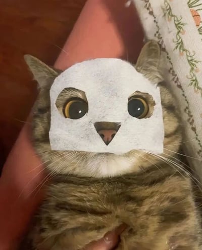 一只虎斑猫的面部被一张白色纸巾覆盖，纸巾上剪出了两个夸张的大眼睛和一个小三角形鼻子，形成了类似卡通角色的面部效果。猫咪本身的胡须和耳朵从纸巾边缘露出，眼神透露出些许困惑。背景中可以看到粉色的物体和带有花纹的布料，整体画面呈现出温馨又搞笑的氛围。