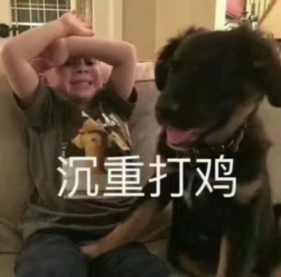 图中展示了一个小男孩坐在沙发上，双手交叉放在额头上，表情看起来有些沮丧或无奈。旁边一只黑色的狗吐着舌头，看起来很开心。图片中间有醒目的白色文字“沉重打鸡”，这是一个谐音梗，将“沉重打击”中的“打击”替换成了“打鸡”，形成幽默效果。