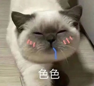 一只灰白色猫咪趴在木地板上，双眼紧闭，脸颊被P上了粉色腮红，嘴里叼着一根蓝色吸管，表情看起来十分陶醉。图片底部有白色文字“色色”，整体营造出一种俏皮又略带调侃的搞笑氛围。“色色”在这里是网络用语，指调皮、有点小坏的意思，通过猫咪的表情和腮红设计强化了这种轻松幽默的感觉。