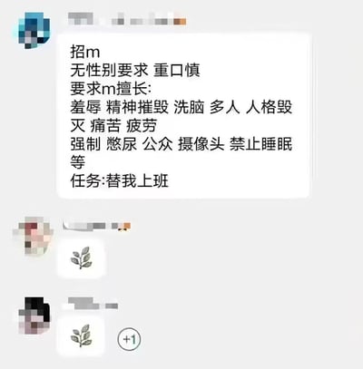 这张图片显示了一段令人不适的文字内容，以招聘启事的形式出现，却包含大量不当表述。内容开头写着"招m 无性别要求 重口慎"，随后列出了一系列令人不安的所谓"要求m擅长"的项目，包括羞辱、精神摧毁、洗脑、人格毁灭等严重不当内容，最后却以"任务:替我上班"收尾，形成一种扭曲的对比。

图片采用了社交媒体截图的形式，上方和下方有模糊处理的用户头像和互动元素，中间是主要文字内容区域。这种表达方式将职场压力用极端不当的方式进行比喻，内容低俗且不健康。