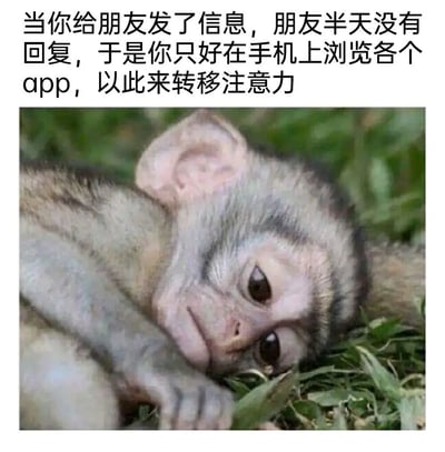 图片上方配有文字描述“当你给朋友发了信息，朋友半天没有回复，于是你只好在手机上浏览各个app，以此来转移注意力”，下方是一只趴在草地上的小猴子，眼神略带无辜和放空，仿佛在模拟等待消息时百无聊赖刷手机的状态。
