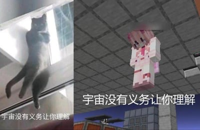 图片为左右对比结构：左侧是一只灰色猫咪垂直悬挂在玻璃窗户上，爪子紧抓窗沿，身体拉伸呈悬空状态；右侧是《Minecraft》风格的像素角色，粉色头发搭配白色服装，悬浮在方格天花板的房间中，头部低垂。两侧画面均配有文字“宇宙没有义务让你理解”，通过猫咪的怪异姿势与游戏角色的悬浮状态形成荒诞对比，结合哲学短句营造出幽默的“无法理解现实”效果。