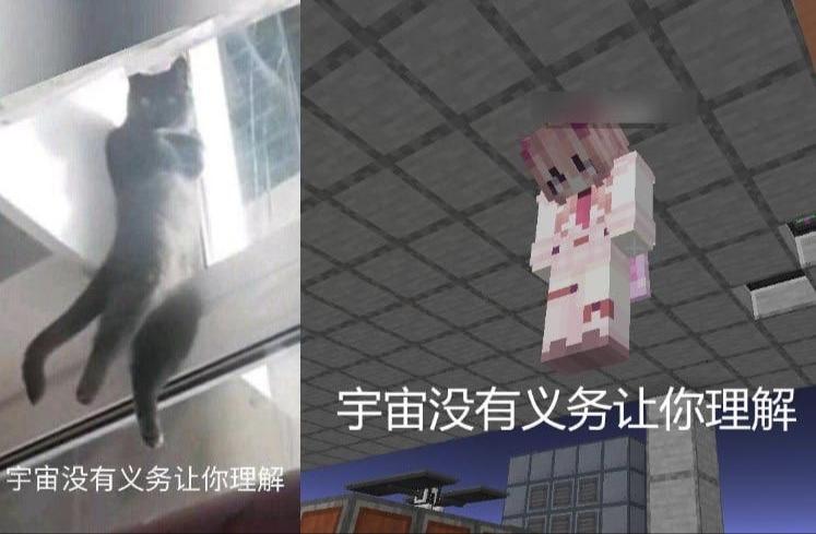 鸡（我的世界）