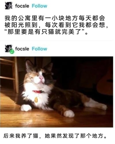 暂无描述