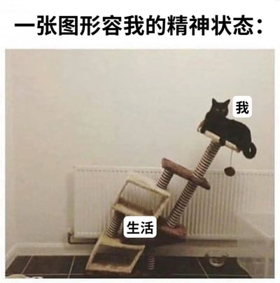 图片上方配有文字'一张图形容我的精神状态：'，下方是一张照片：一只黑猫（标注'我'）平静地趴在一个破损、倾斜的猫爬架（标注'生活'）上，猫爬架结构松散，呈现出摇摇欲坠的状态。通过黑猫在不稳定猫爬架上的平静姿态，幽默地比喻自己在充满挑战的生活中维持表面平静的精神状态，带有自嘲和无奈的意味。