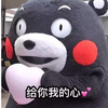 这是一张基于日本熊本县吉祥物熊本熊的改编表情包，画面里的熊本熊伸出手，搭配文字“给你我的心💖”，用可爱的卡通形象传递出暖心示好、表达心意的情绪，风格软萌治愈，适合在日常社交中用来向好友、恋人等亲近的人表达好感、撒娇或者传递温暖的心意。